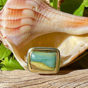 D0E82DD2 489E 45D5 9AD0 B58E3986E1B0c 300x300 - Shop Liframy - Picture Jasper Gold and Sterling Beach Ring size 6.5