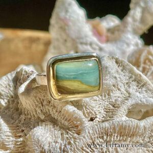 Shop Liframy - Picture Jasper Gold and Sterling Beach Ring size 6.5 One of a kind hand forged statement jewelry by Amy Whitten in the Rocky Mountains of the USA